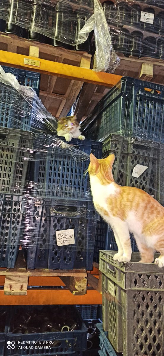 Kardeşm iş yerindeyiz yalnız aşkınızı dışarda yaşayın.