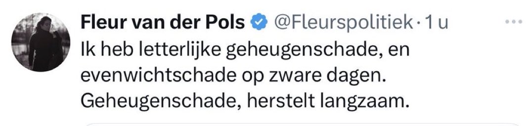 De geheugenschade zou wel kunnen verklaren waarom ze continu zaken verdraait en verzint. De evenwichtschade waarom ze niet in staat is gebalanceerde stukjes te typen.