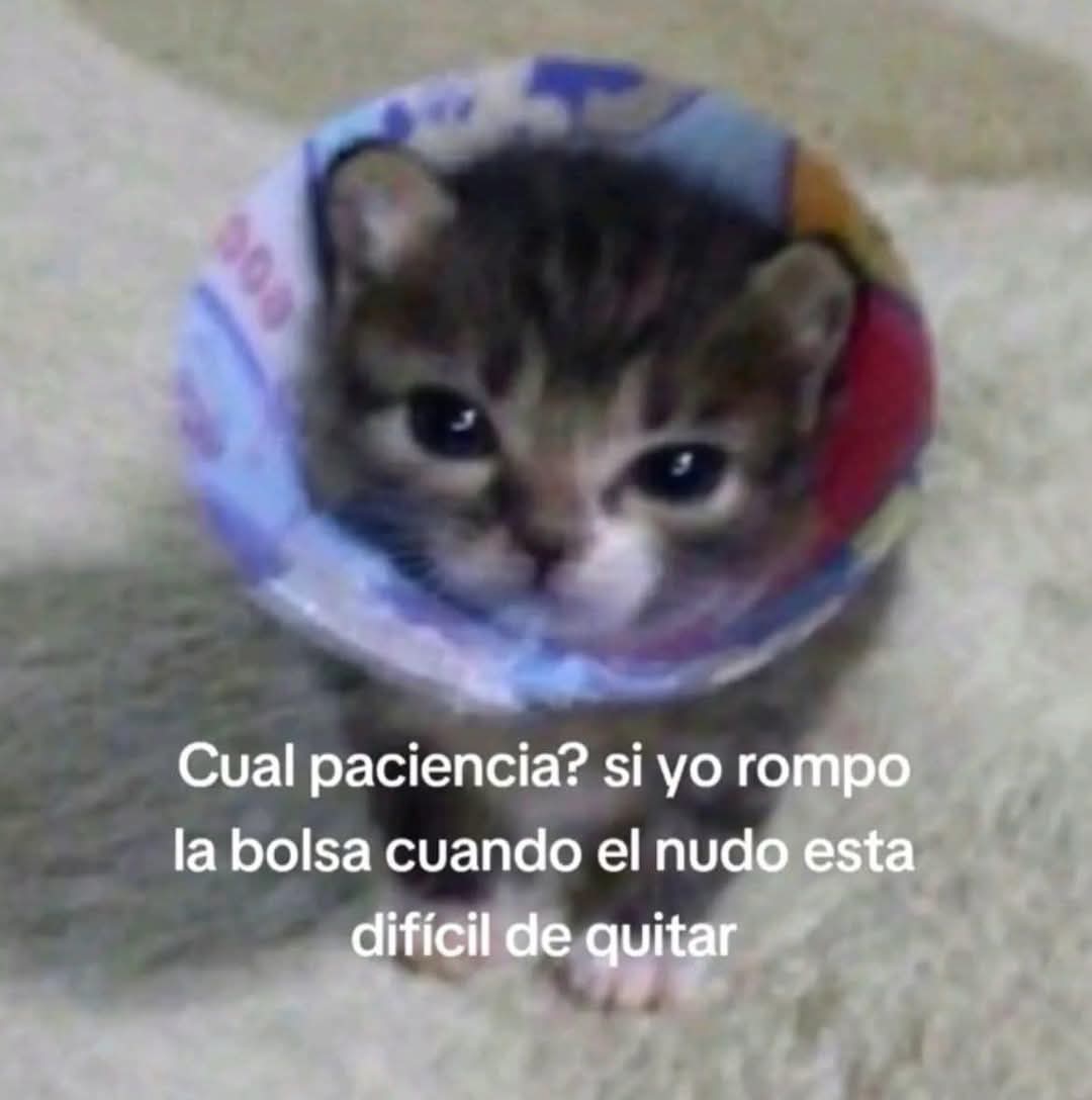 M O T I V A N D O T E (@m0tivand0te) on Twitter photo 