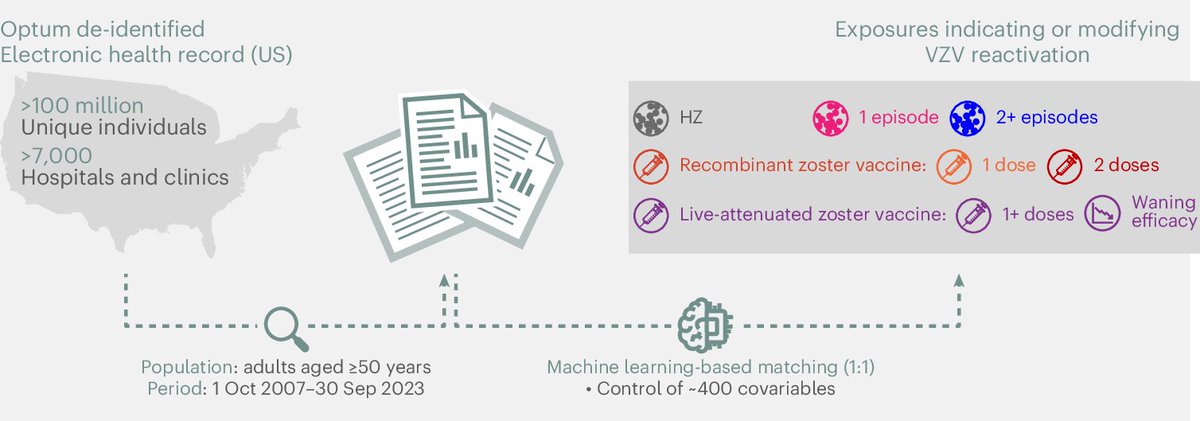 La reactivación del virus de la varicela-zóster se relacionaría con un mayor riesgo de demencia, según los registros médicos de > 100 millones de personas en EEUU. La vacunación podría reducir el riesgo. (por profesora Akiko Iwasaki).