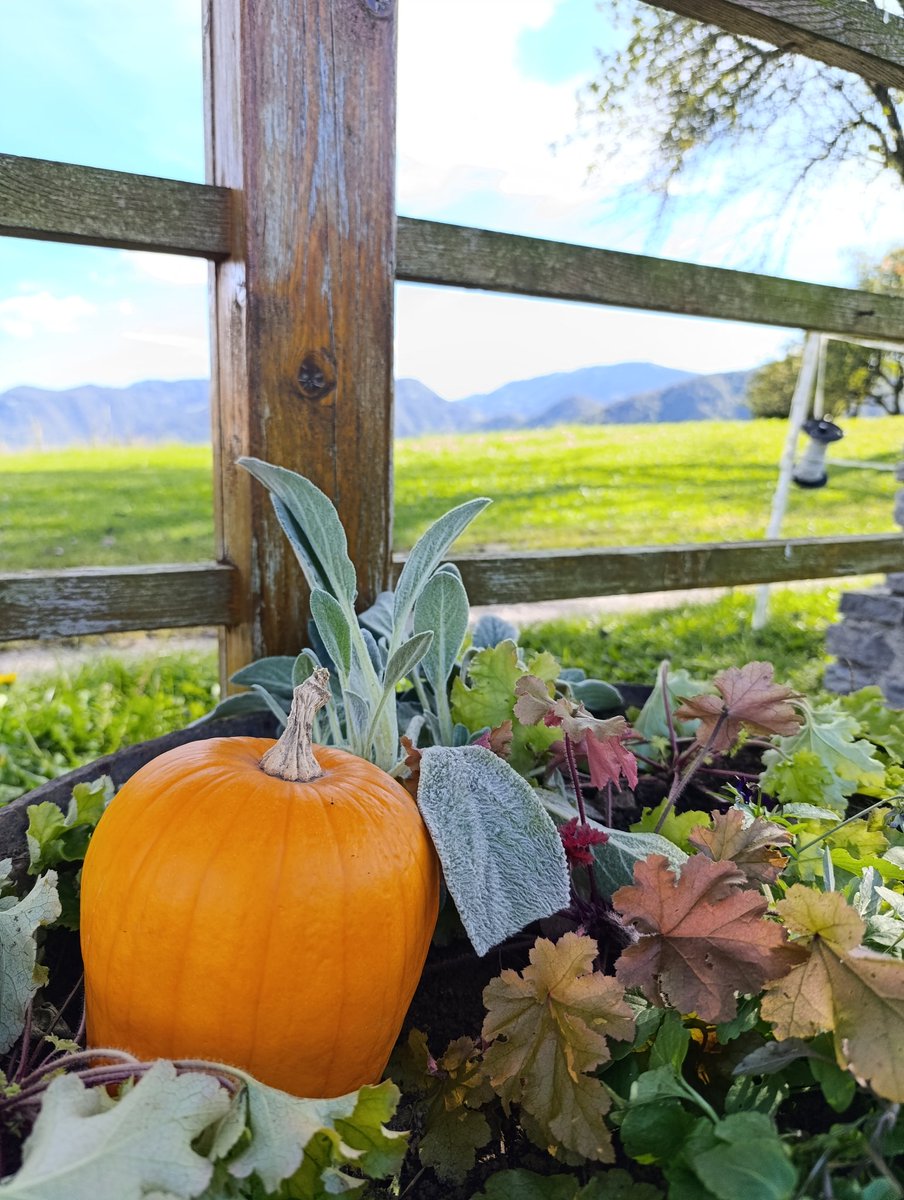 Visit Šentviška planota tweet media