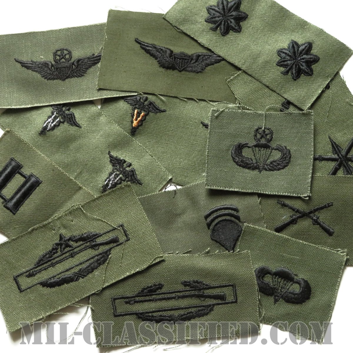 今年もアオバズク来る❢ 2024.6.2 今年もアオバズク来る❢ 2024.6.2 今年もアオバズク来る