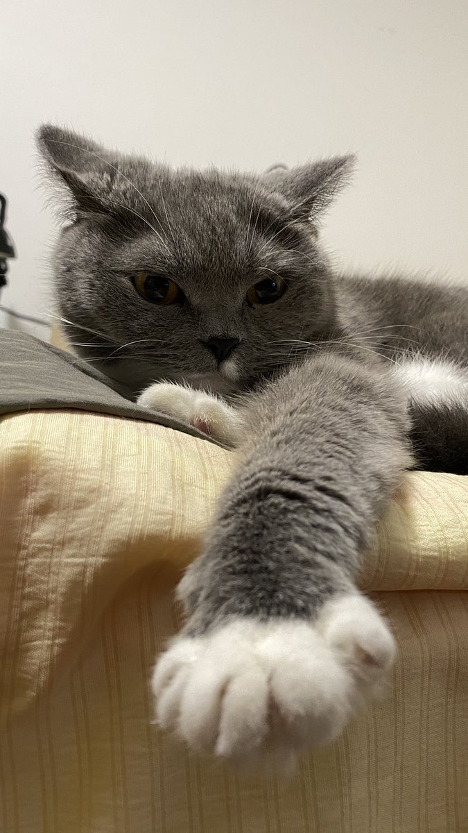 api_beer's tweet image. 总有一些奇形怪状的动作