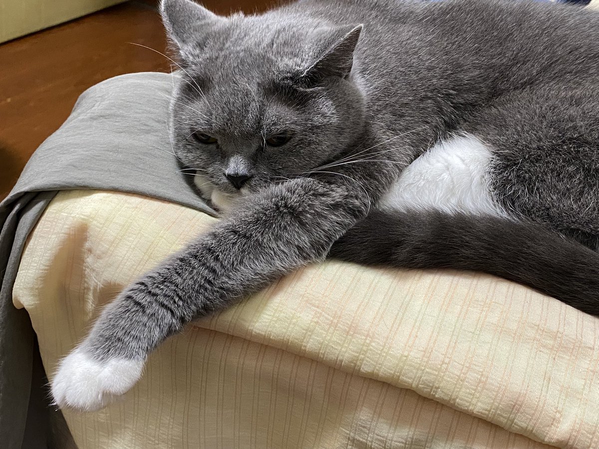 api_beer's tweet image. 总有一些奇形怪状的动作