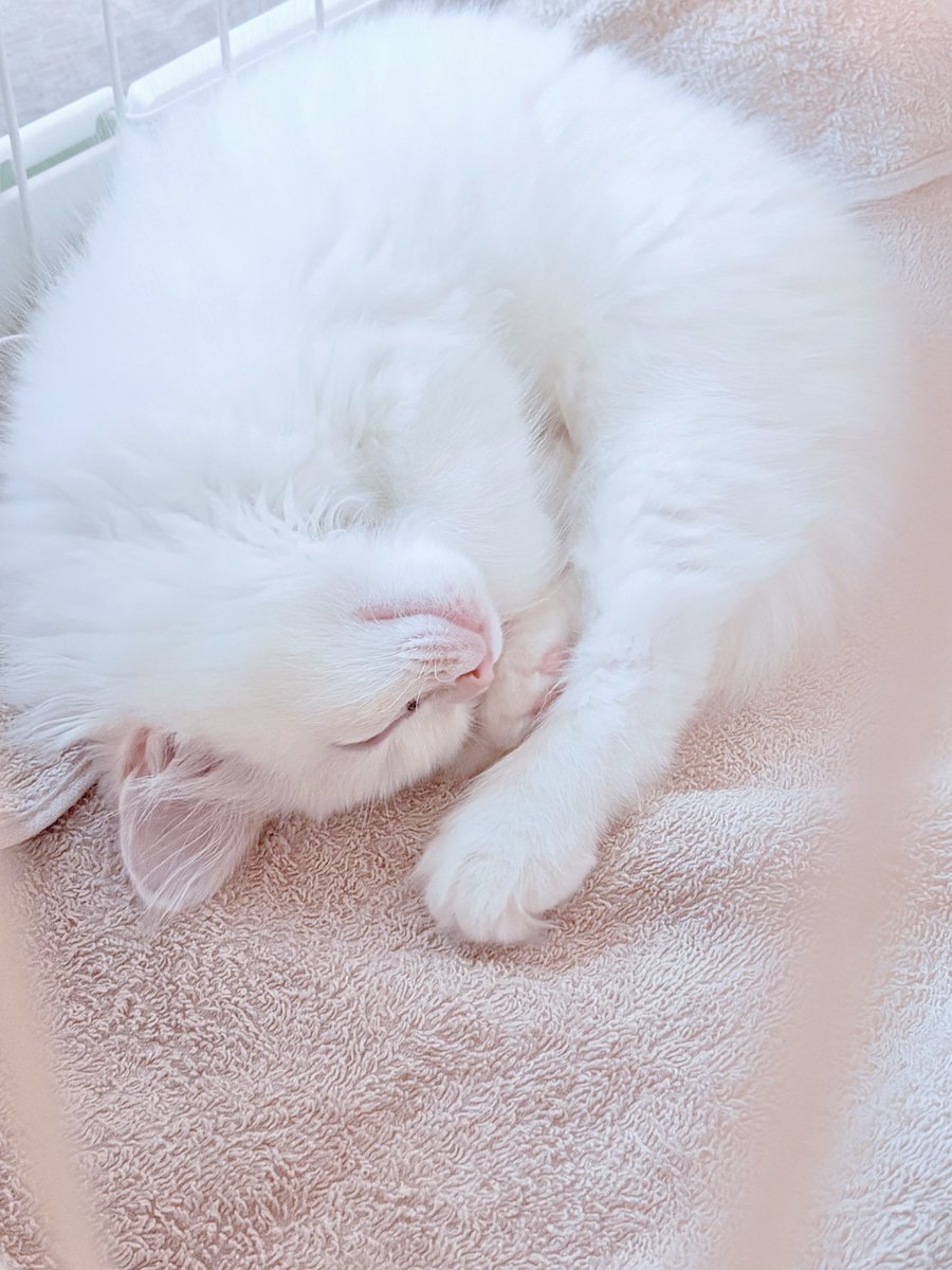 😴