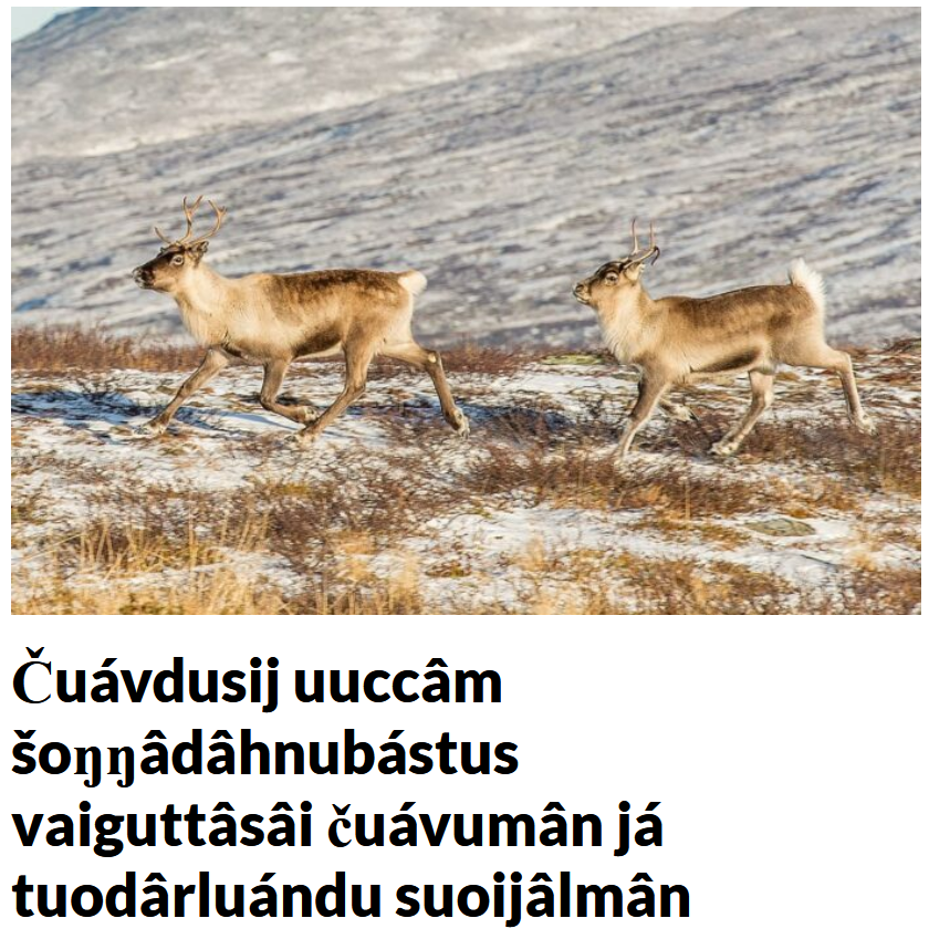 Saamelainen ilmastoneuvosto, Saami Climate Council tweet media