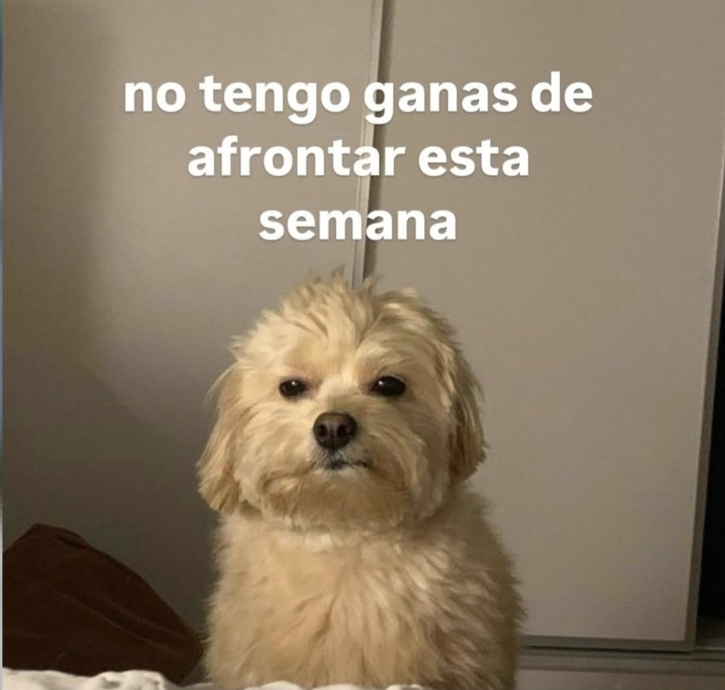 En Júpiter tweet media