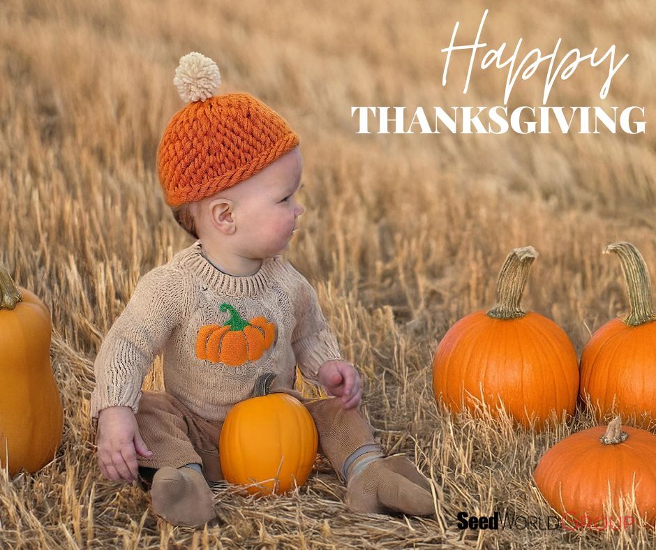ABSeedGuide's tweet image. 🍁 Happy Thanksgiving 🍁 

Today we give thanks for farmers, seeds, and the harvests that sustain us all. 🌾
Wishing you and your families a season filled with gratitude, good food, and togetherness.

#Thanksgiving #Gratitude #Seeds