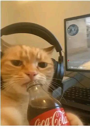 DomInternweb3's tweet image. I stay awake all night chasing a lead and booking a meeting and you don’t get to open your inbox to read my Goodnews?
Many closers have to go!