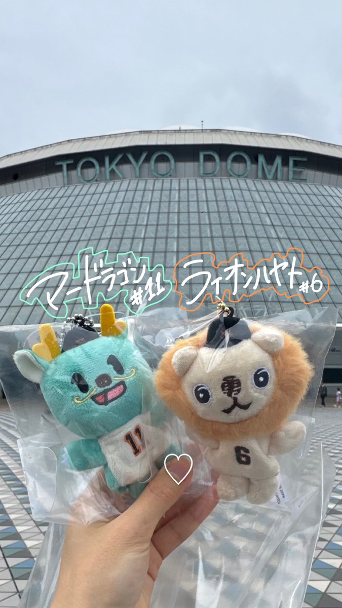 暇持て余したのでドーム来ましたっ！

そしてこの2匹お出迎えしましたぁꉂ🤭

かわいすぎるかわいすぎる(∩ˊ꒳​ˋ∩)
#giants #田中将大 #坂本勇人 #マードラゴン #ライオンハヤト
