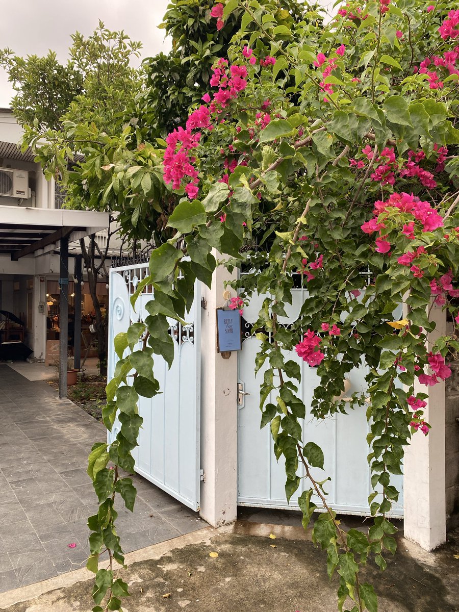 vanillaone9's tweet image. 귀엽네 ♥️…