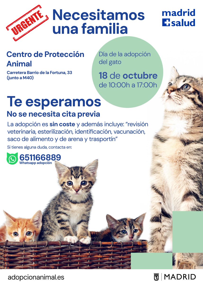 Madrid Salud. Ayuntamiento de Madrid tweet media
