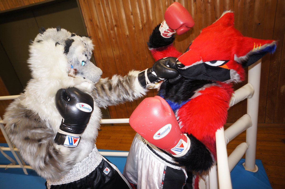 今日はスポーツの日って事で、ボクシングもスポーツなのでやっとかないとね〜🥊🐯🥊🐺🥊
レクス🥊🐯🥊
シックル君vsThay🥊🐺🥊🐾🥊
レクスvsチズウィックグリフォン🥊🐯🥊🦅🥊
ヘイル君vsセラ君🥊❄🐆🥊🐺🥊
#スポーツの日
#FursuitEveryday 
#獣BoxingGym