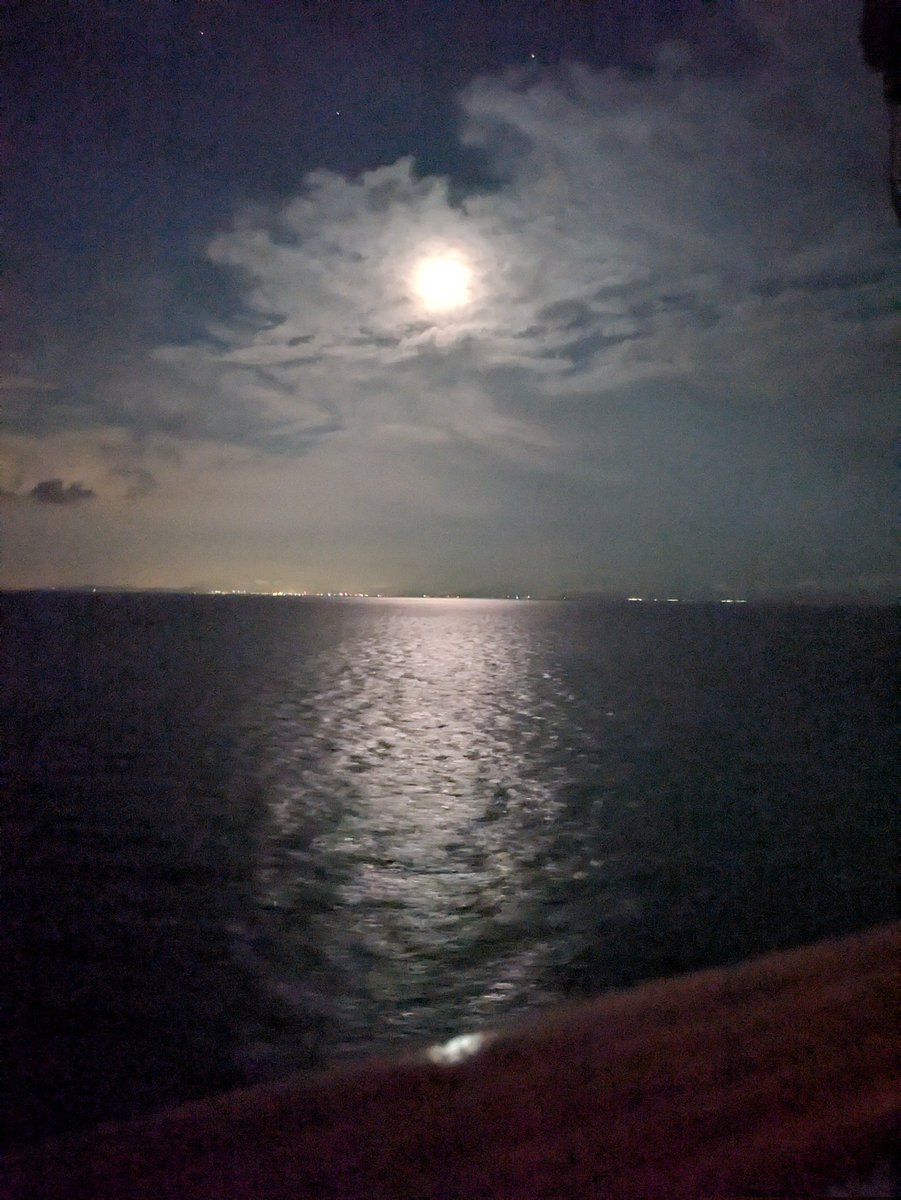 bento_seikatu's tweet photo. それから
人生で一度やってみたかったことを叶えてきた

海をみれた。虹がみえた。星もみれた
大人になって自力で来れたね https://t.co/zHW2wwM4c5