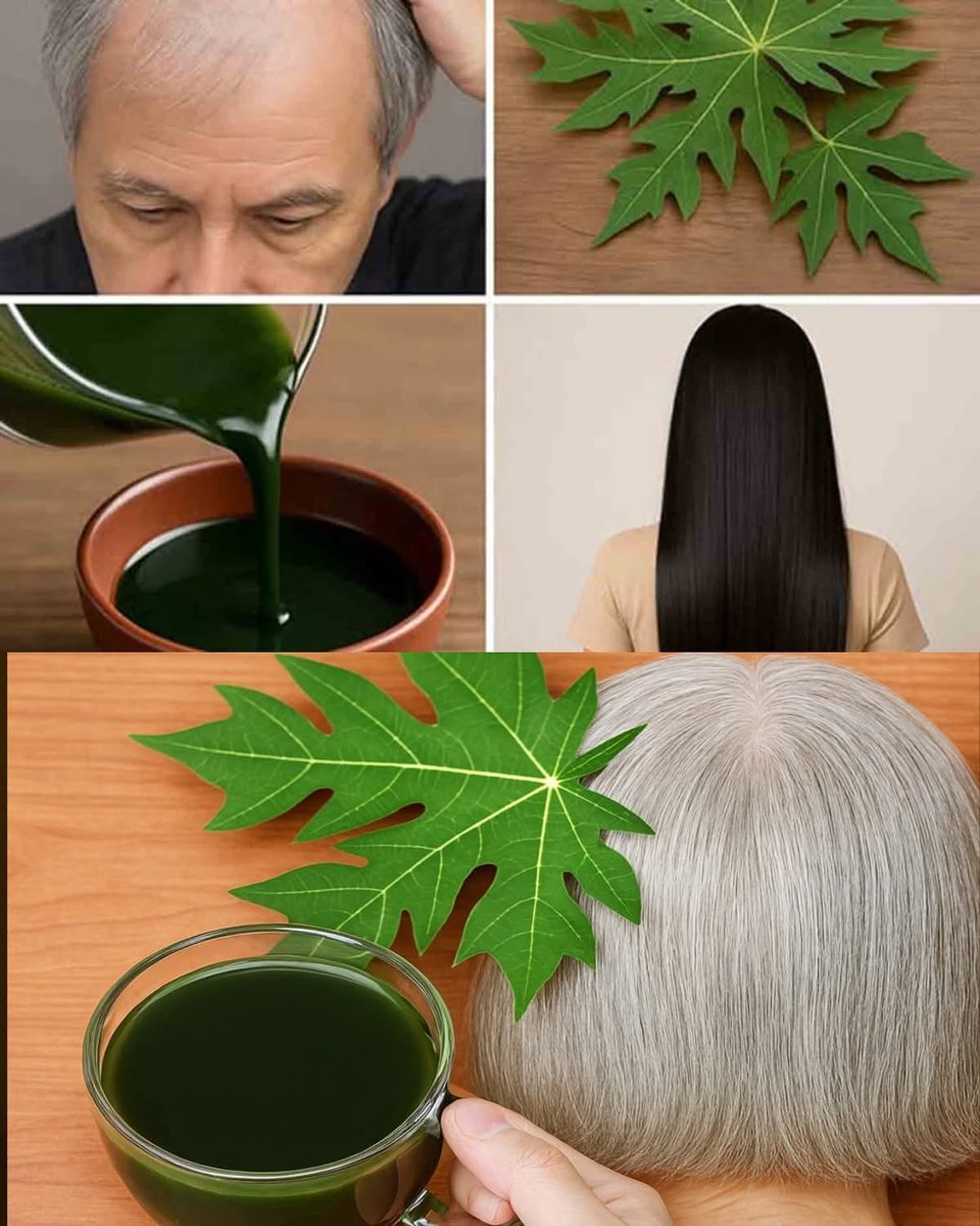 Your hair deserves the power of nature! 🥭💚 Papaya leaves aren’t just for health — they can strengthen, nourish, and revive your hair naturally. Here’s the secret herbal mask that works wonders.🧵👇🏾