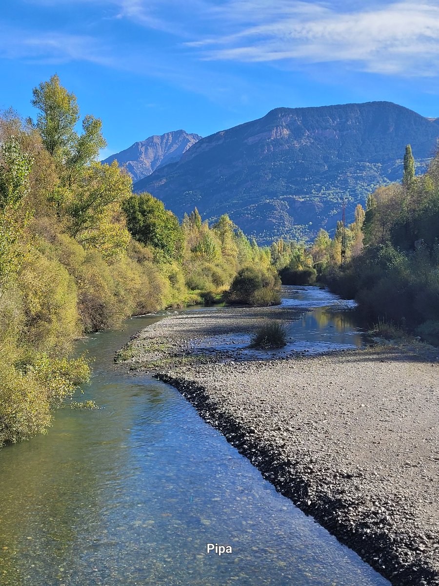 pipapipia's tweet image. Let's take care of, respect and love rivers. They are the life of all living beings.💙🌿🌳