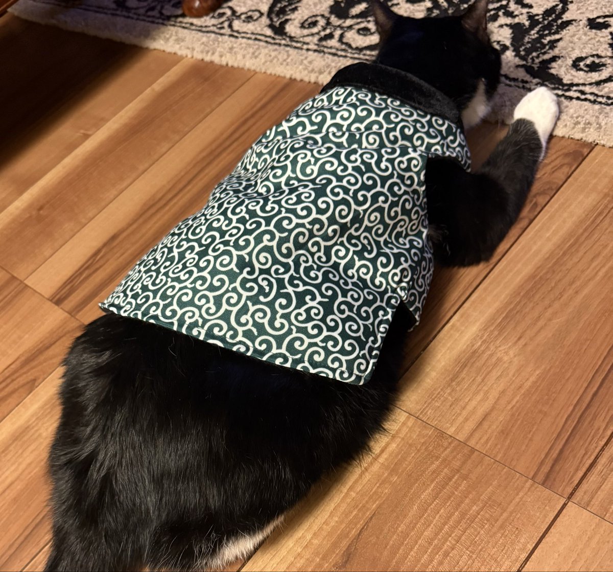 ogawareinetsu's tweet image. 🍂こんばんは、てんです🐾
明日はみんな、軽井沢と伊香保と川越でお仕事です🚗💨
がんばってきてね〜✨

僕はというと…ちょっと風邪をひいてしまって🤧
お母さんにハンテンを着せられました😹
ぬくぬくしてお留守番します🧣

#てんの日記 #看板ねこ #会社のねこ #ねこのいる職場 #癒し猫
#軽井沢…