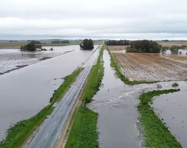 Excelente demostración del error en el cálculo del díametro de la alcantarilla / puente sobre la ruta que produce el efecto de un dique. El problema inmediato, la circulación por la ruta 226 y posterior el anegamiento prolongado en el campo.
"TODO LO QUE PUEDE SALIR MAL, SALE