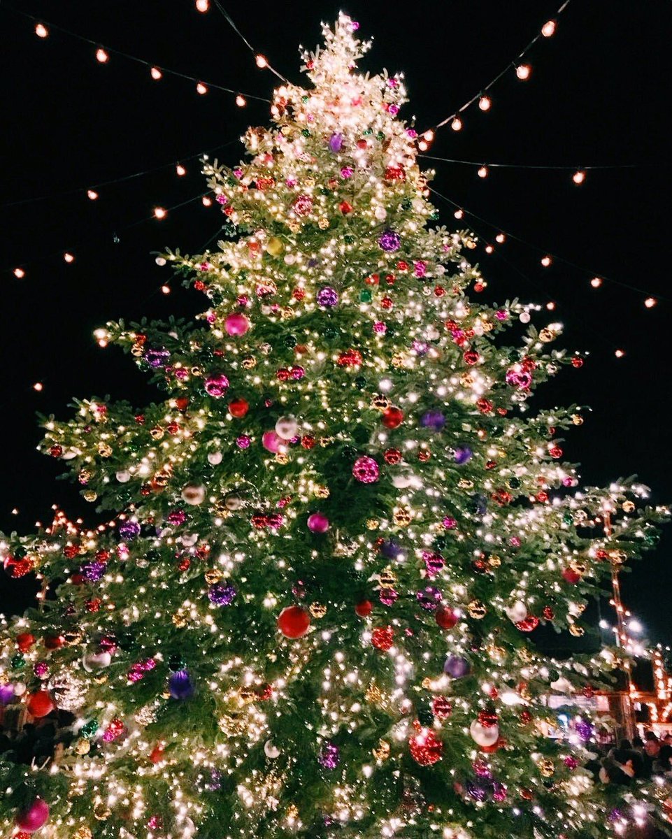 Exploring Europe’s Christmas markets by train in 2025 is pure magic. Sharing 5 favorite itineraries from past trips -  each one packed with cozy vibes &amp; Christmas spirit. #EuropeByTrain Read:  atlifestylecrossroads.com/christmas-dest…