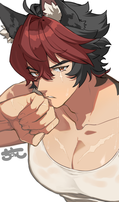 ちょこ cocoa☆ ZX-14 CHROME ZX ENGRAVED DIAMOND CUT YOKE CAP 2012