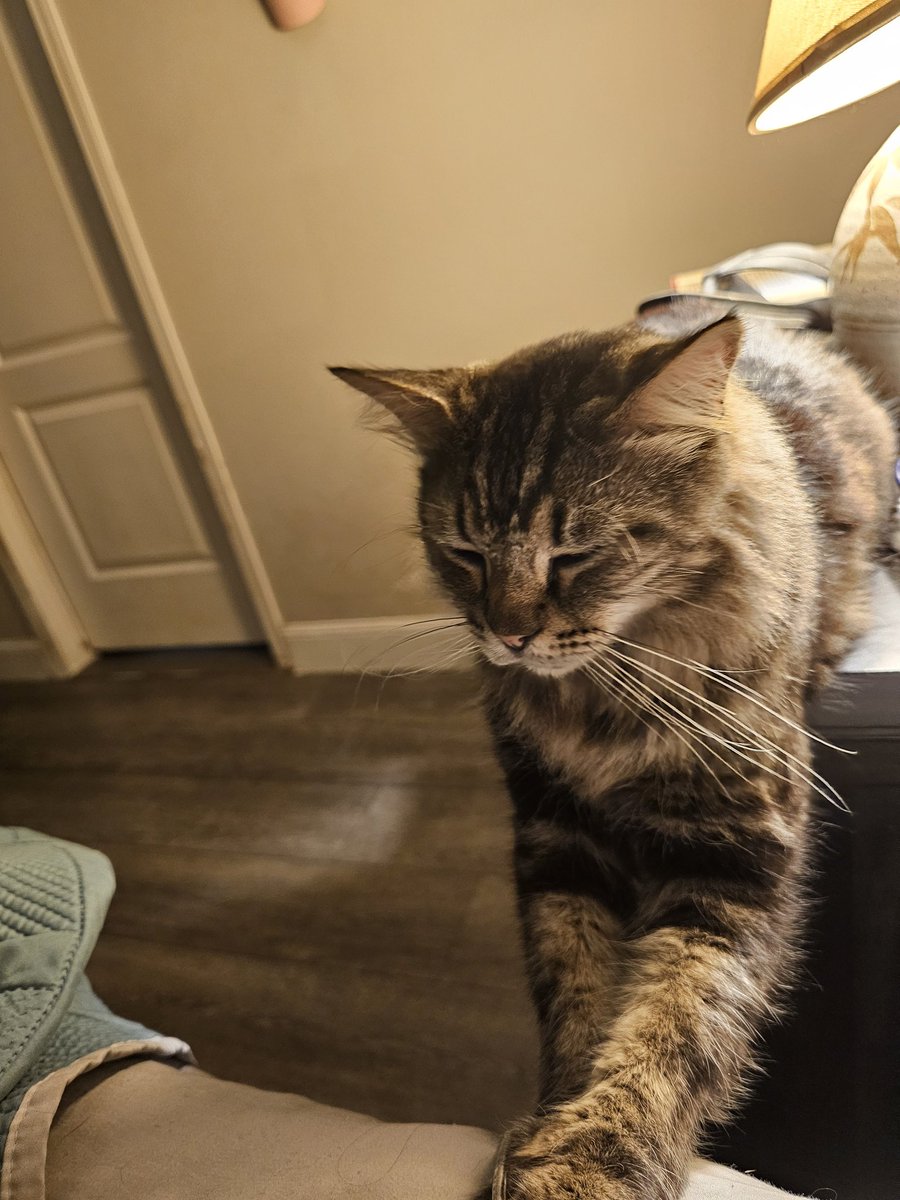 Deplorable Dawn tweet media