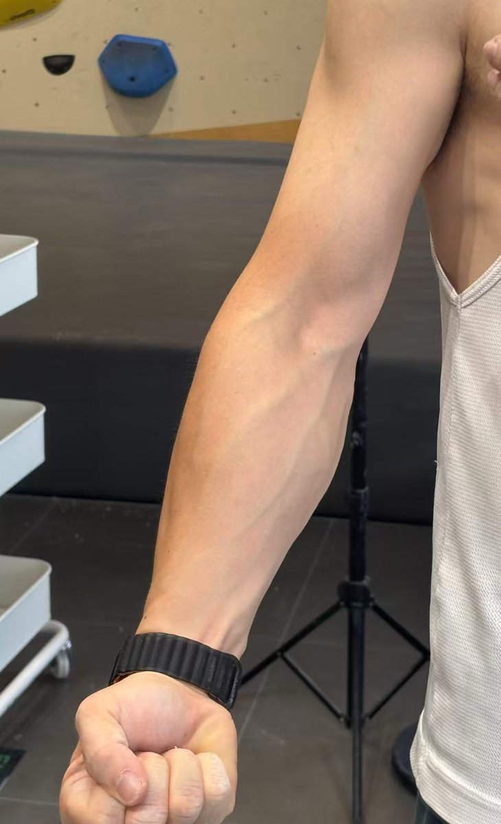 Mike Yang tweet media