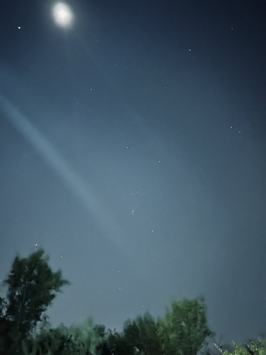 Stacy Popish tweet media