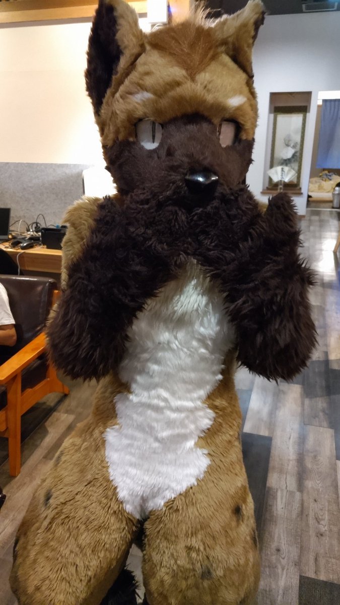 ReshiramWife's tweet image. なんか四街道で2年前くらいに会った以上に小さいぞ………？
#CoEDOオフ
@kounomiei 
@Yuitoru730