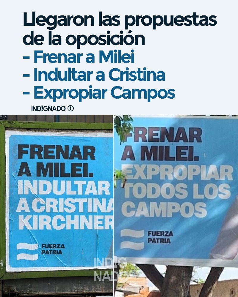 INDIGNADO (@indignadoxd) on Twitter photo 