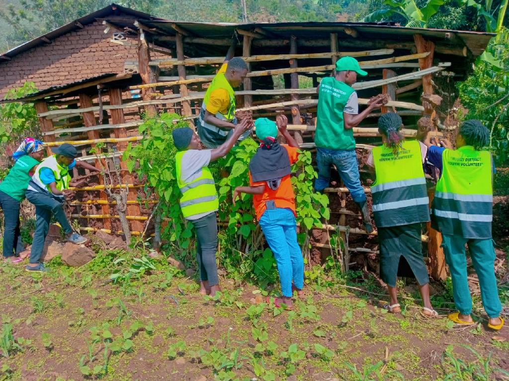 GITAMBI_YOUTH_1's tweet photo. @RusiziDistrict @RwandaLocalGov @Rwandapolice @RwandaYouthVol1
Muri uku kwezi kwahariwe ibikorwa by' ubukorerabushake RUSIZI-GITAMBI Dukomeje ibikorwa bishyira umuturage ku isonga.
Twubakiye umuturage igikoni, tunagaruta abana 7 ku ishuri.
Ibikorwa byagenze neza https://t.co/s9RhbrjNZT