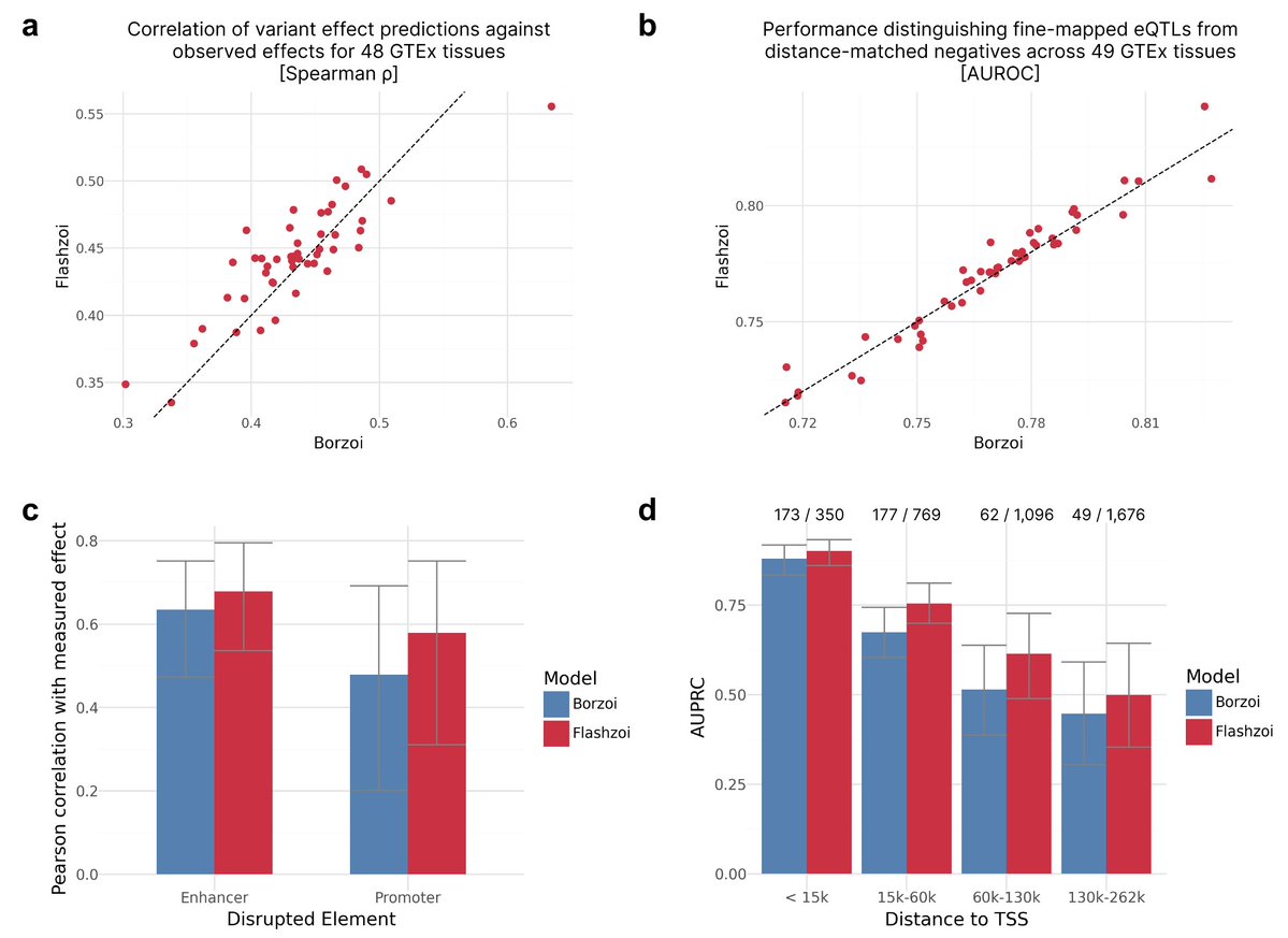 Johannes Hingerl tweet media