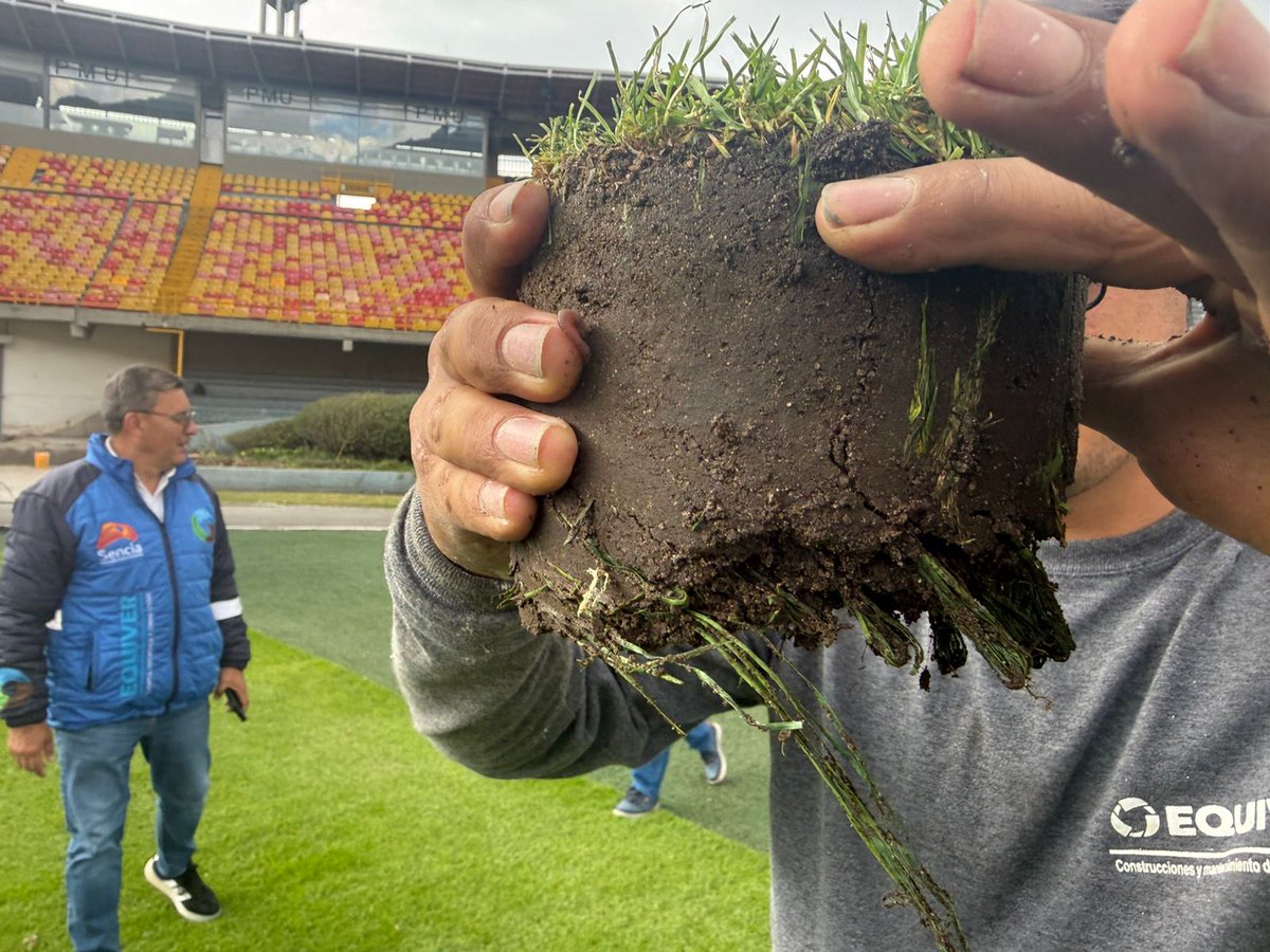 World Sports USA - Turf Experts tweet media