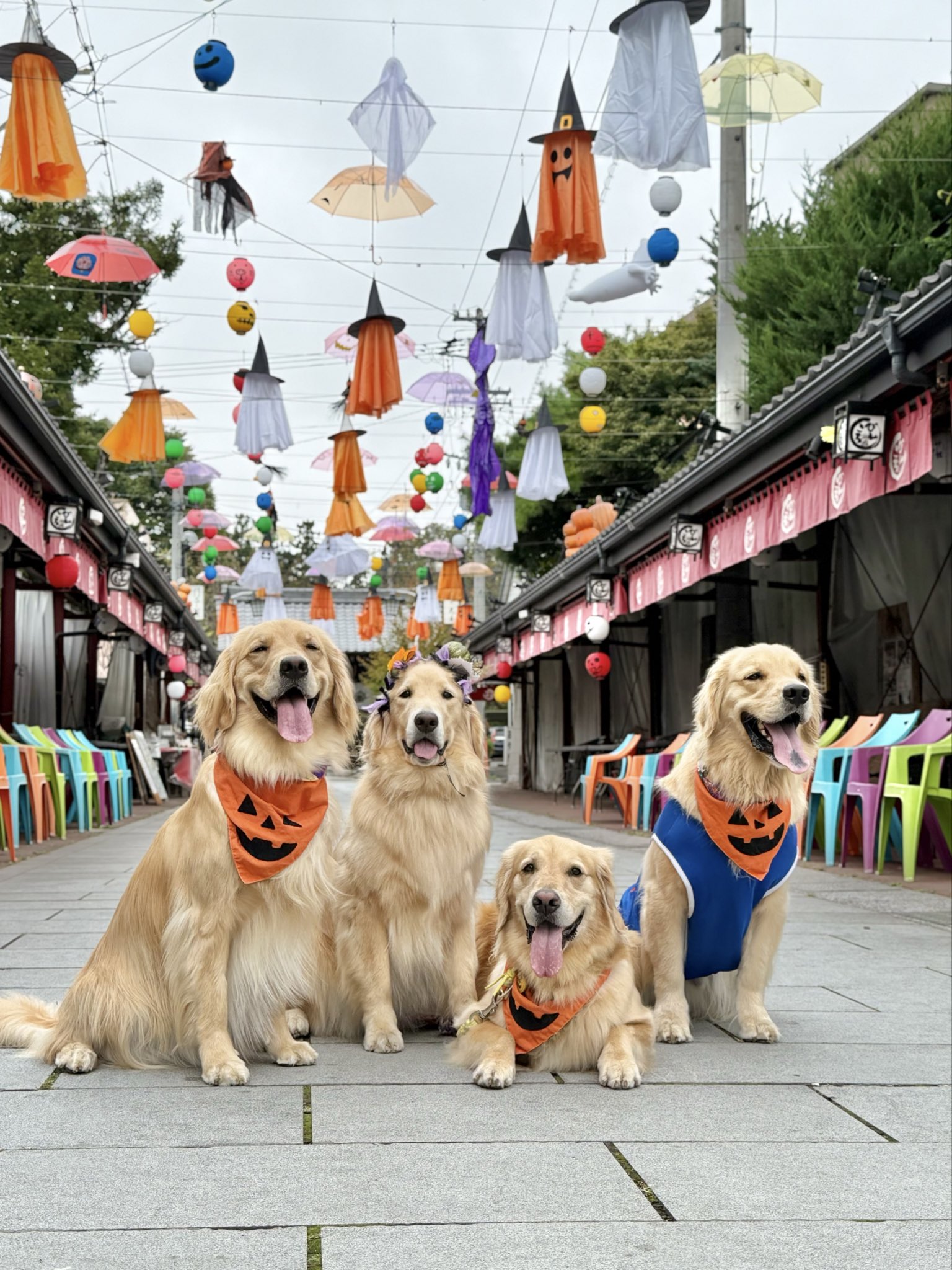 Kaori Honda (@honda_kaori) / X