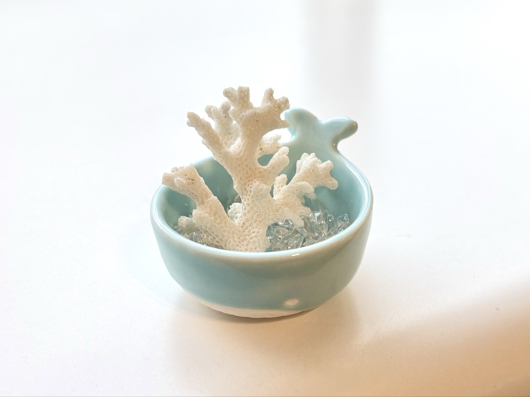 珊瑚 - অনুসন্ধান / X