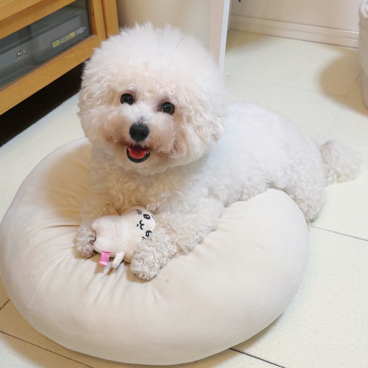 つくね様 つくね🔞 小説DL版11月頒布予定 『昔日〜』制作中🌆 on X