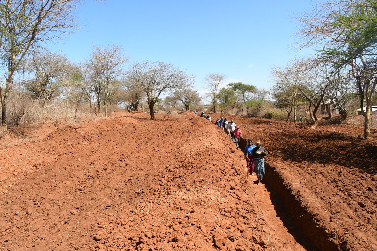 Africa Sand Dam Foundation (ASDF) tweet media