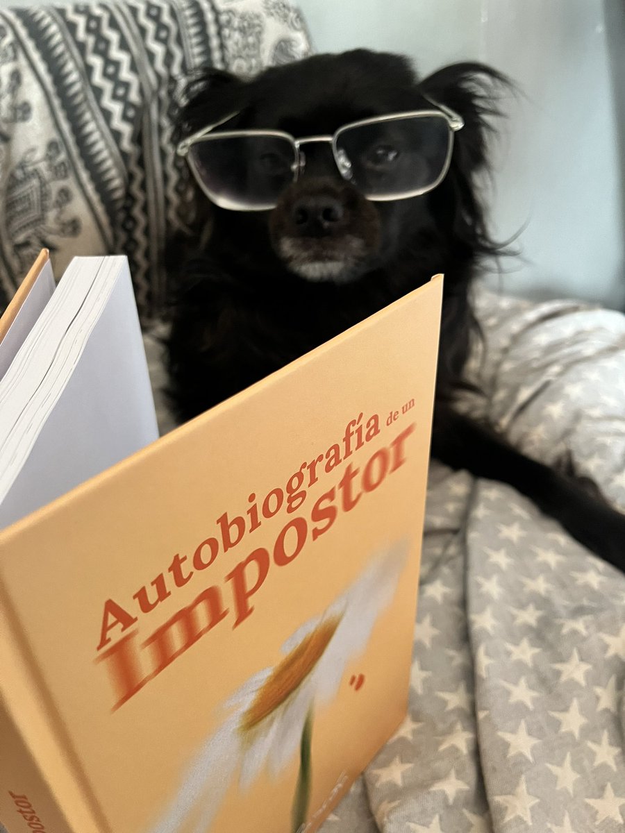 mcascon1's tweet photo. Hasta a kuso le tiene intrigado. No te la pierdas. Solo en Amazon. #autobiografiadeunimpostor #mcascon #amazonunkindle #Amazon #Salamanca #Barcelona #Bercimuelle #Mercadillo #lestartit https://t.co/sTopgZ95fS