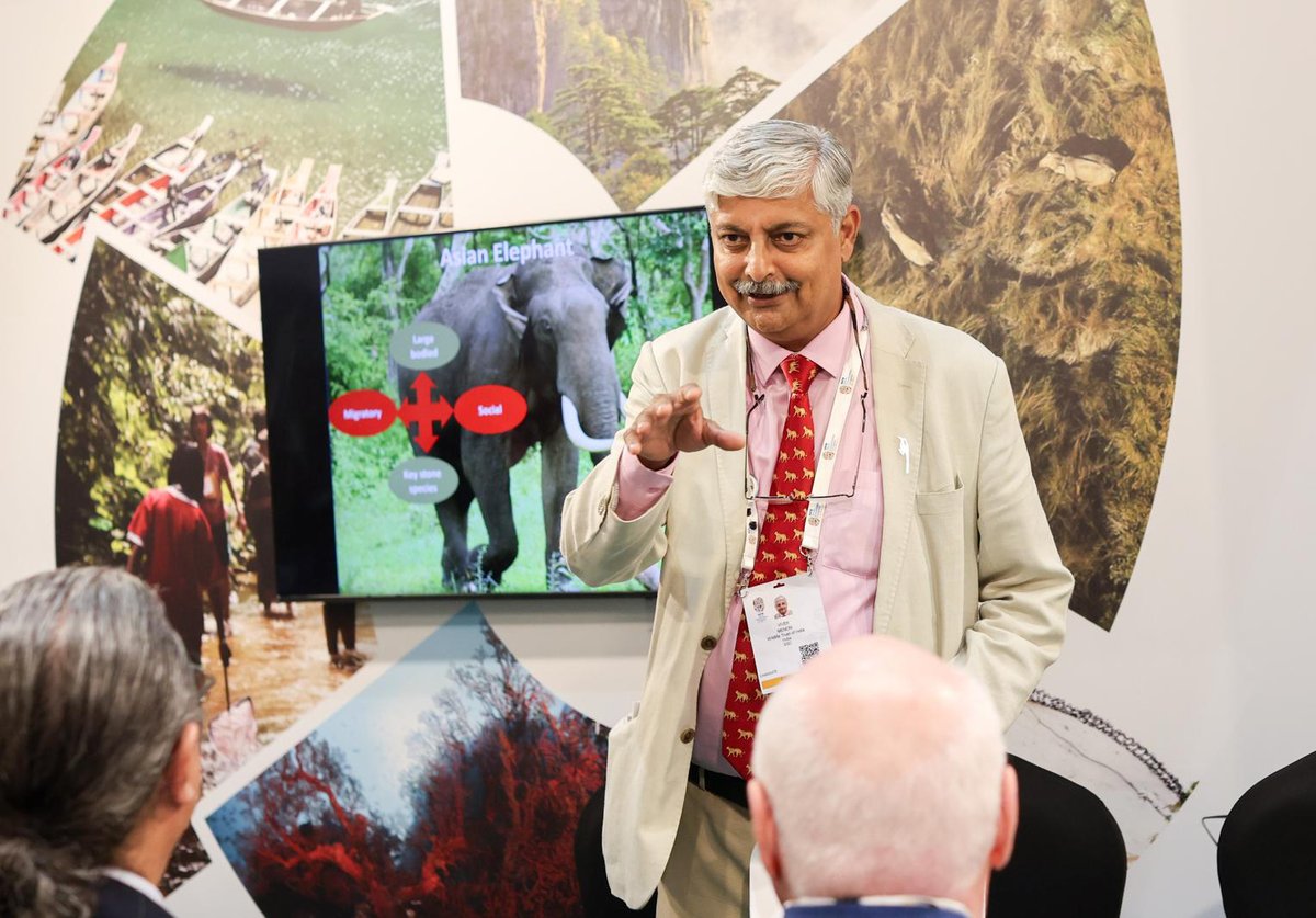 css_ase's tweet photo. At the ongoing @IUCN World Conservation Congress in Abu Dhabi, with leaders and organisations from 13 #AsianElephant range countries, we released the Action Elephant – Volume 2. The document is a major collaborative outcome in partnership with national agencies and NGOs. https://t.co/ZyvgqiGxwH
