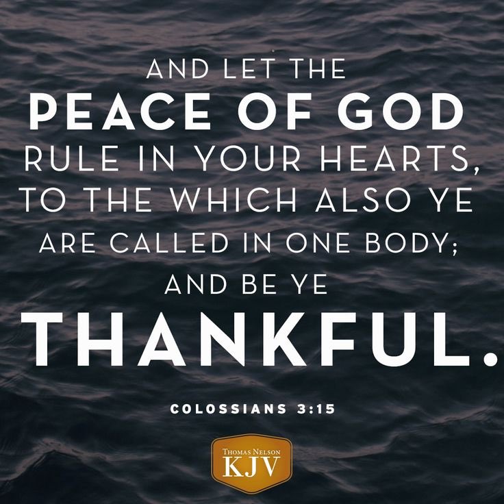 This is the verse of the day in the week. Thank you Lord God fill us with the Holy Spirit and guide us closer to you every single day.✝️👨‍✈️🙏