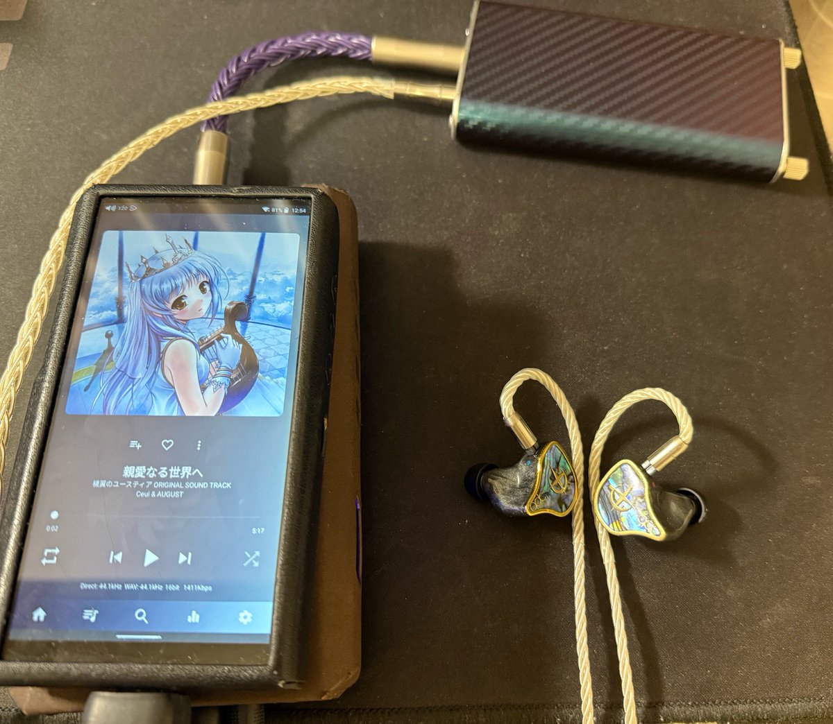 イヤホン K's Audio Works ArkGenesis EVO Pentaconn イヤホン K's Audio Works ArkGenesis EVO Pentaconn K's Audio