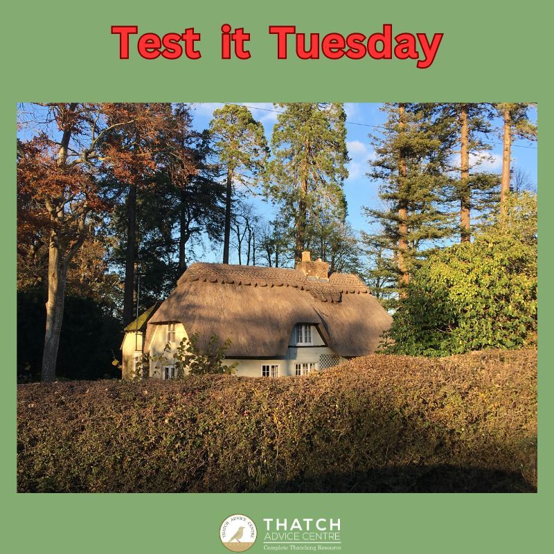 ThatchAdvice's tweet image. #TestitTuesday  #PresstoTest 
Got 60 seconds?
It doesn&apos;t take long to test your Smoke and CO Alarms
