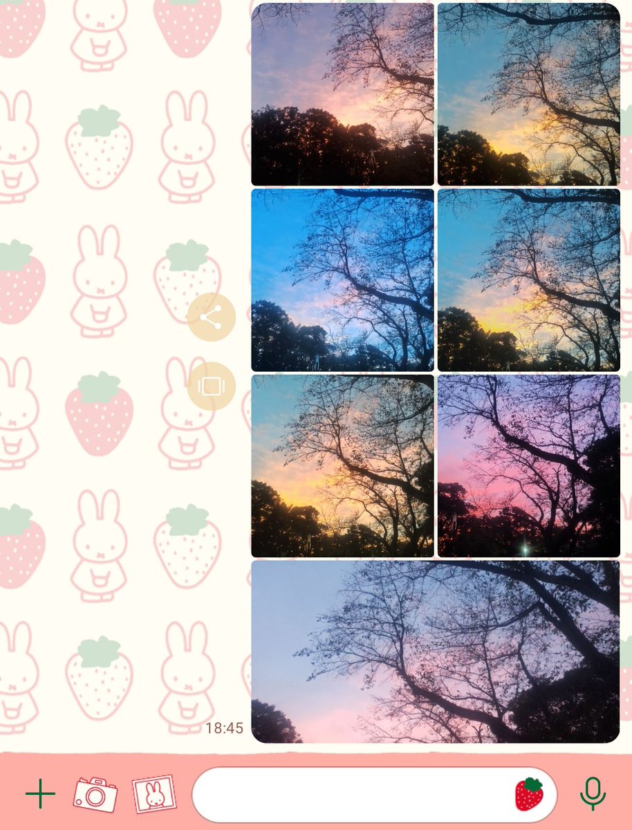 空が時間の経過とともに変わってく様が綺麗だったから撮りまくったのを家族に送りつけた笑
お外にいても暑くなくて良い季節になったね😌