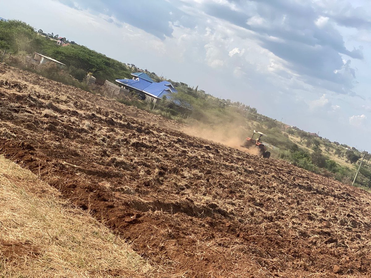 Kivumbi o'clock 😅! 
We have few tractors in this locality so we  we are here  rushing against time to finish land preparation ,bed making and drip installation before the rains start 😁!

Have you finished land prep ama you are a member of Kenyan last-minute culture📷 ?