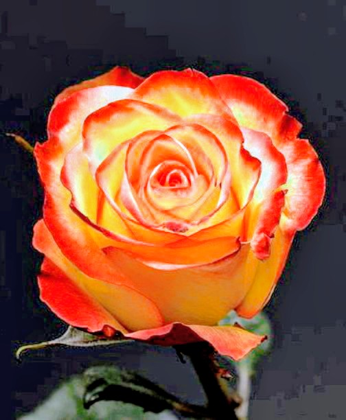 B๐น (@bert98556673) on Twitter photo <a href="/Papageien21200/">Brigitte ๐ฒ๐ซ~๐</a> Good afternoon dear Brigitte. ๐น๐น
I wish you a lovely new week. โ๏ธ๐ถ
And a beautiful monday. โโ๐ธ๐๐ <a href="/Papageien21200/">Brigitte ๐ฒ๐ซ~๐</a> Good afternoon dear Brigitte. ๐น๐น
I wish you a lovely new week. โ๏ธ๐ถ
And a beautiful monday. โโ๐ธ๐๐