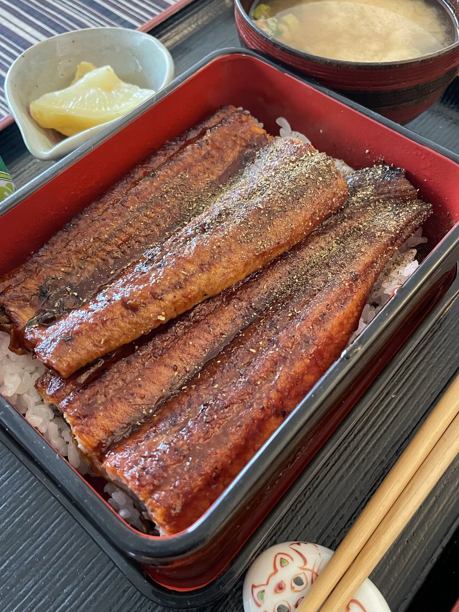 苦しい時、日本から買ってきて大事に冷凍しておいた鰻を食べる。日本のお米で。
山椒の香りが弱った気持ちを立ち直らせる。
エンハーツ⑱ 5日目。
友達からの温かいLINEや猫介護士達の寄り添いで心折れずに生きてます。