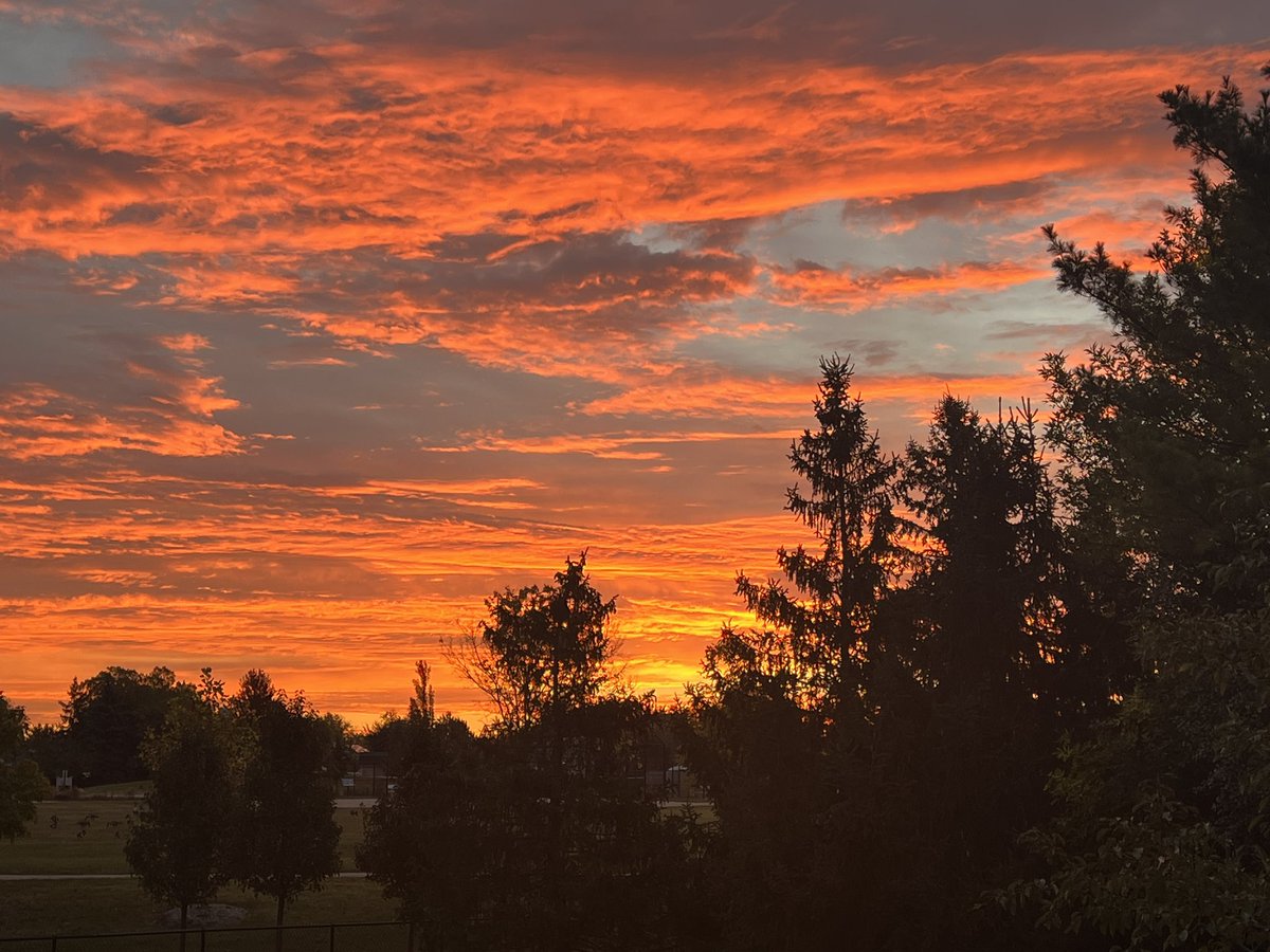 Best views out the window this time of year. Time to get to work. #writerswindow #amwriting #writingcommunity