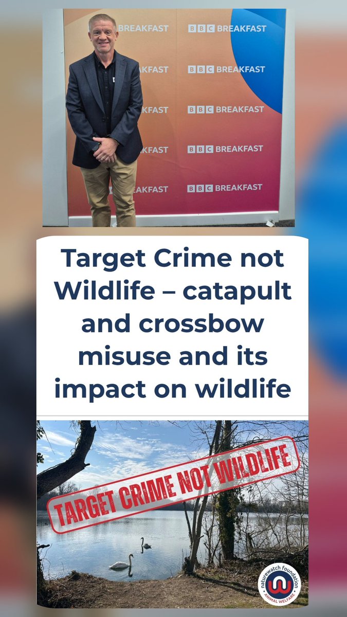 Once a Scruffy Cop tweet media