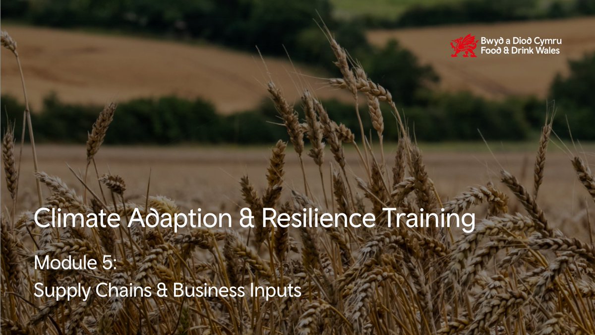 Supply-chain resilience is vital for the food &amp; drink sector. 

👉 Learn how to adapt in Module 5 of the Climate Adaptation &amp; Resilience Training.

Free &amp; fully funded training.

📧 bwyd.food@bic-innovation.com