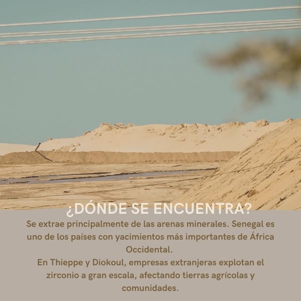 Solidaridad Inter... tweet media