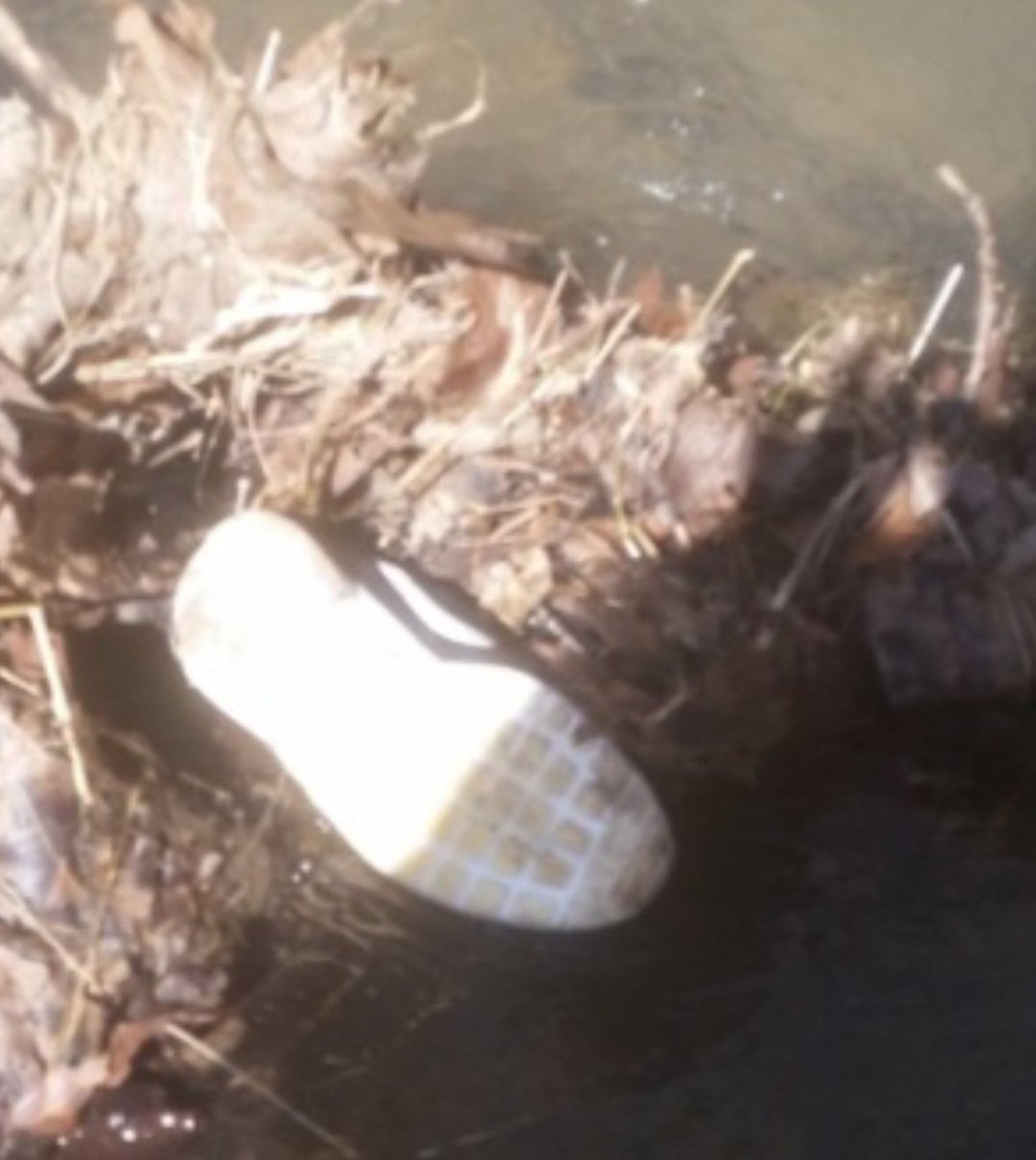 Docs_Delphi's tweet image. There is a difference between dirty, well worn shoes, and shoes that trudged through a muddy, rapid, freezing cold creek.